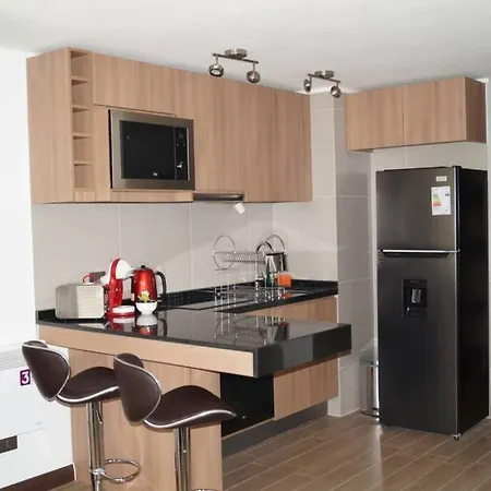 Departamento En Exclusivo Sector De Santiago Apartment